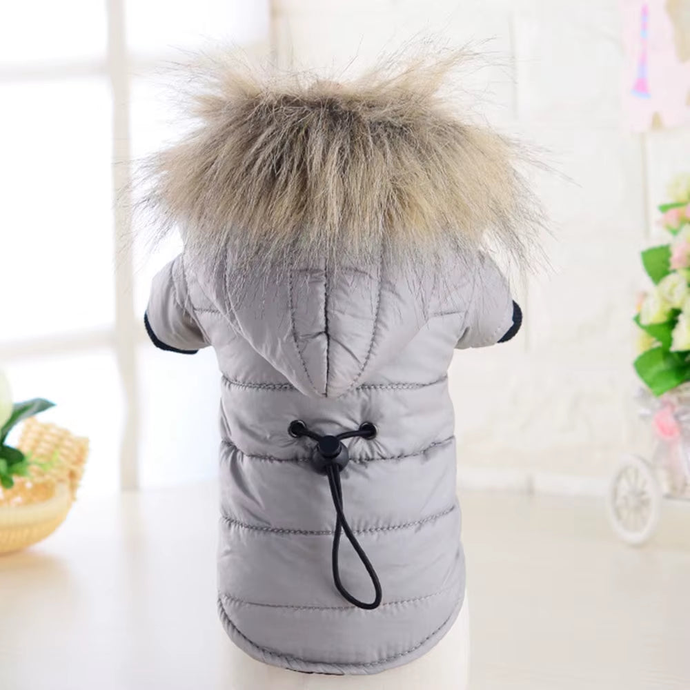 Dog Coat Small Dog Jacket Windproof Warm Padded down Hoodie Snowsuit Fashion Winter Dog Clothes for Cat Puppy Chihuahua Yorkie