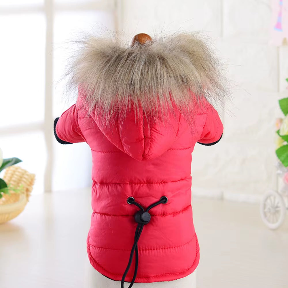 Dog Coat Small Dog Jacket Windproof Warm Padded down Hoodie Snowsuit Fashion Winter Dog Clothes for Cat Puppy Chihuahua Yorkie