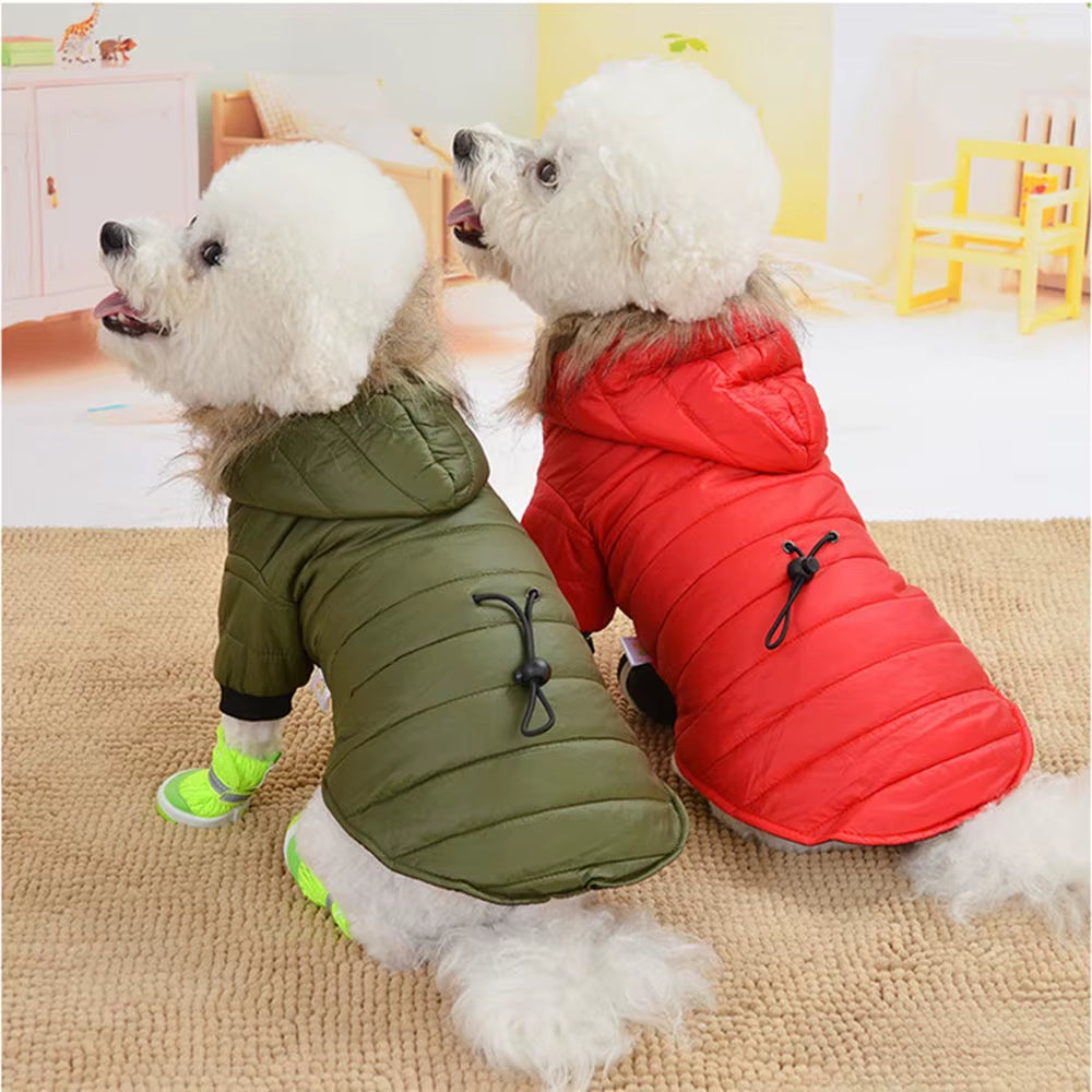 Dog Coat Small Dog Jacket Windproof Warm Padded down Hoodie Snowsuit Fashion Winter Dog Clothes for Cat Puppy Chihuahua Yorkie